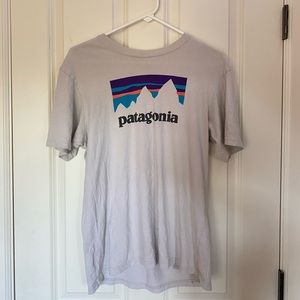 Patagonia tee